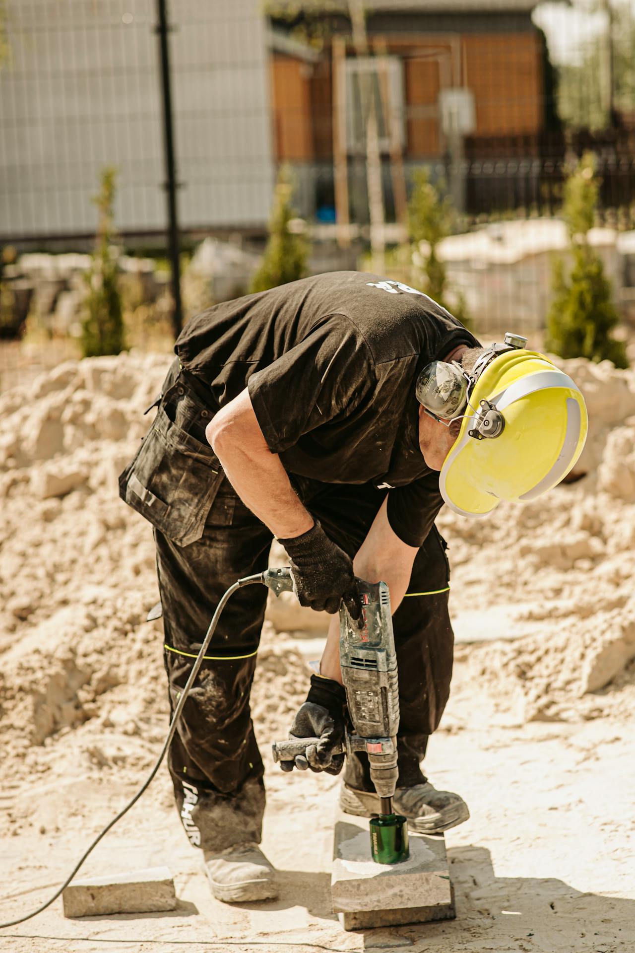 Mold Remediation — illustrative
